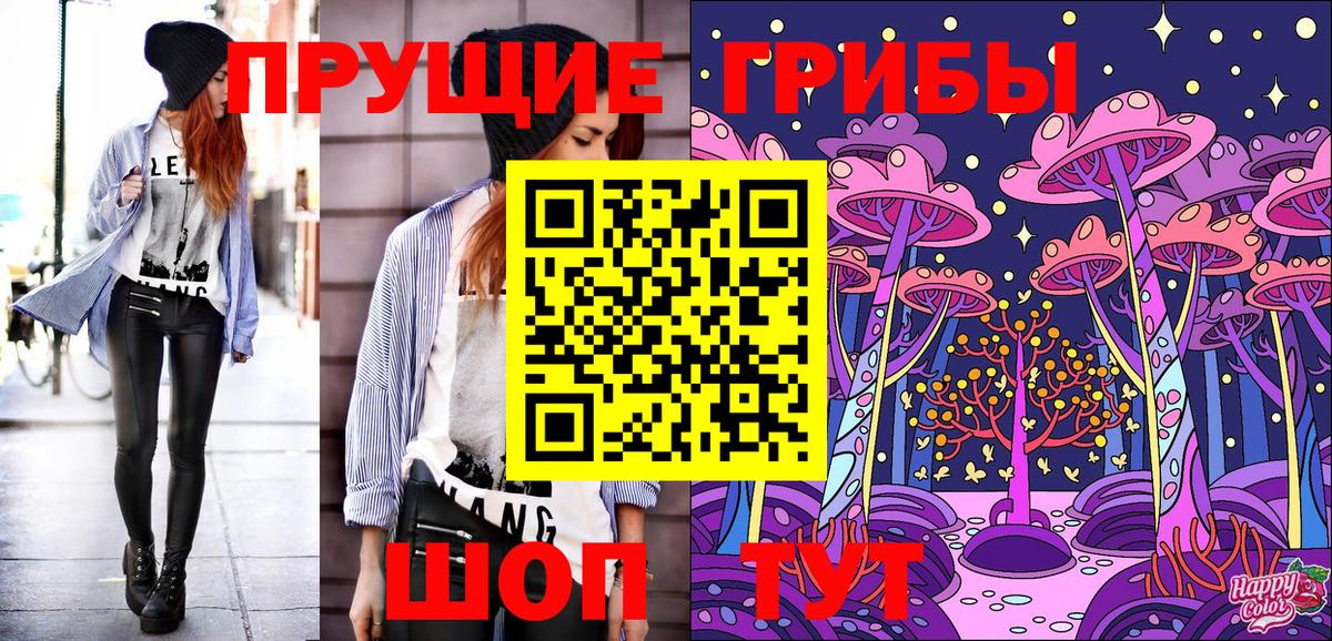 Галлюциногенные грибы GOLDEN TEACHER  Псилоцибиновые грибы ЛСД  Вход с VPN  Сертолово 