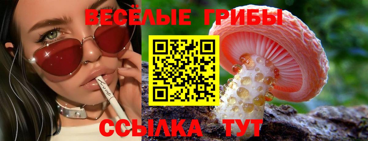 Псилоцибиновые грибы прущие грибы Сертолово